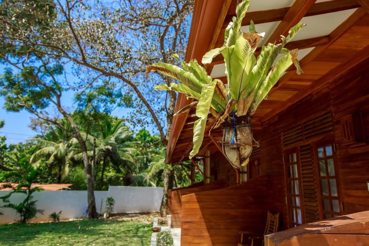 Wood Lodge Mirissa Exterior photo